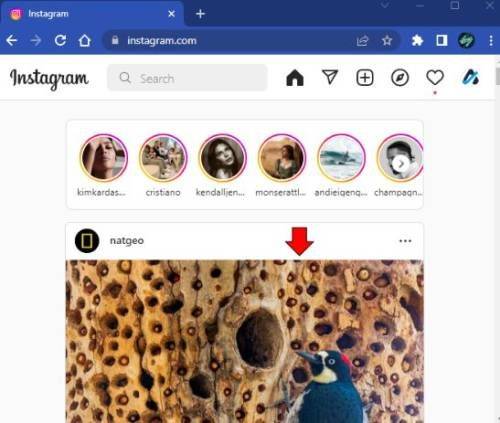 Descărcare fotografii Instagram